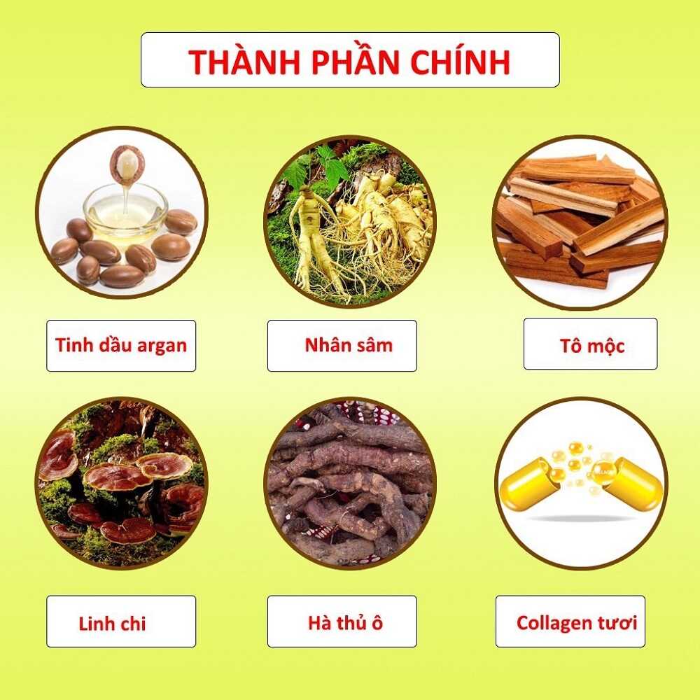 Thành phần dầu gội phủ bạc từ các thảo dược quý